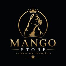 Logo de Mango Store