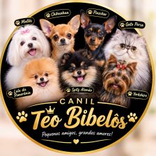 Logo de Canil teo bibelôs 