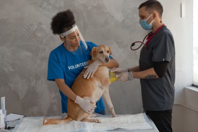 Clinica Pedro