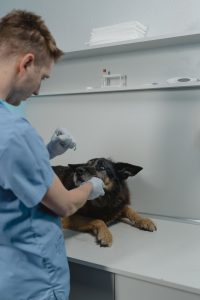 Clinica Pedro