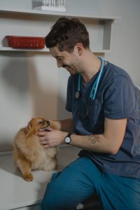 Clinica Pedro