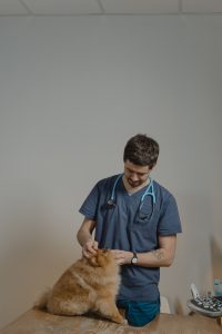Clinica Pedro