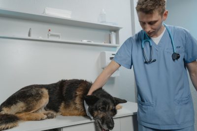 Clinica Pedro