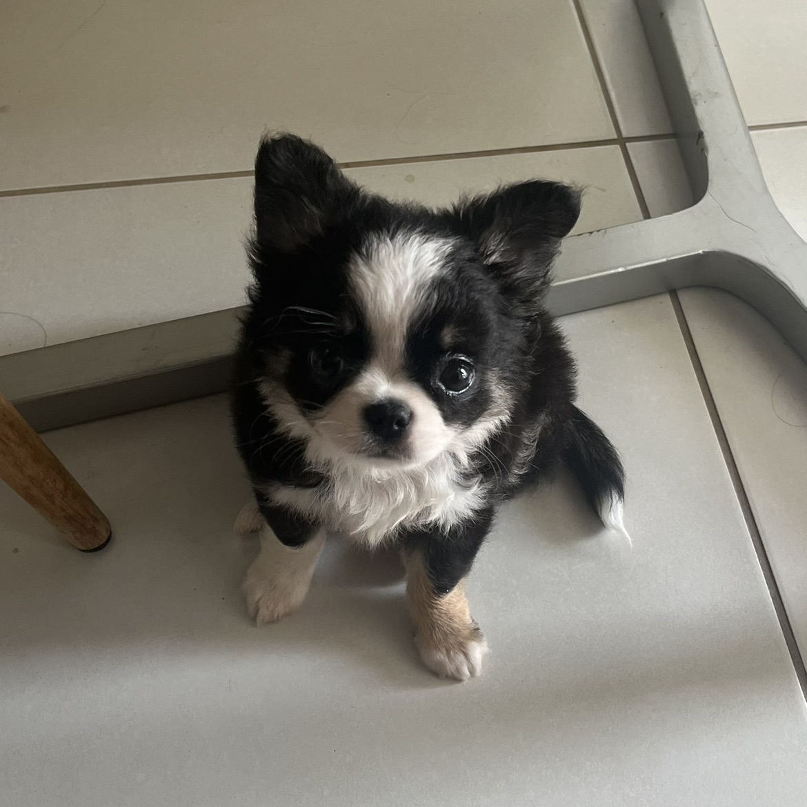 Valentino