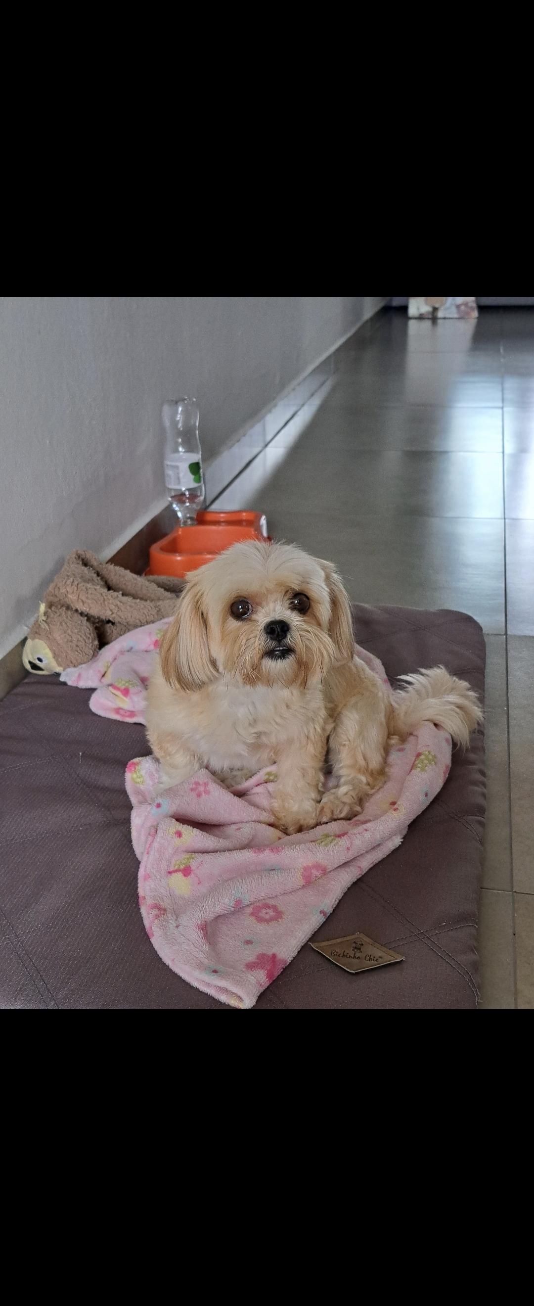 Molly