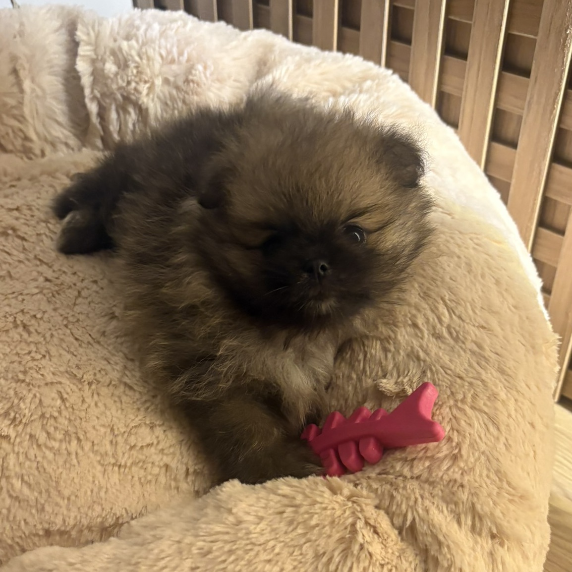 Matilda